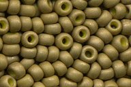 11-2032 Matte Op Golden Olive 11-2032 Matte Op Golden Olive